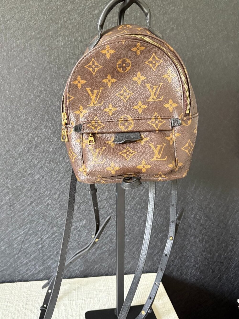 Louis Vuitton Palm Springs Mini Backpack